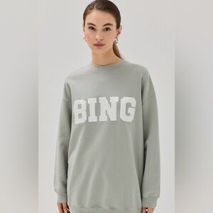 ANINE BING Women's Tyler Satin Bing Crew Sweatshirt in Sage Green - Small